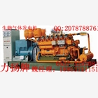 沼氣發(fā)電機(jī)組